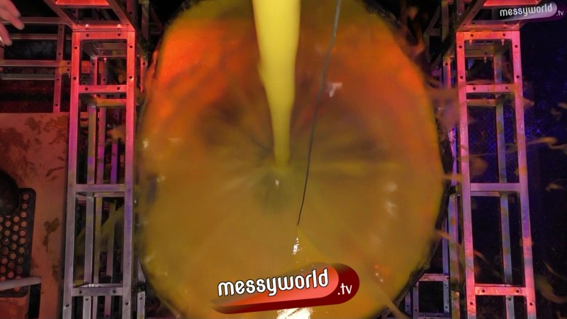 The Duckengeon: Police Officer vs Security Guard