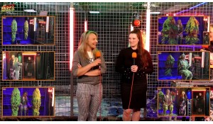 The Human Carwash • Kimberly vs Hannah 