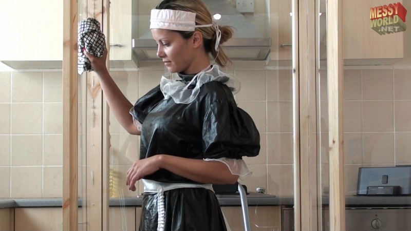 Maid Cleaning The Gunge Tank