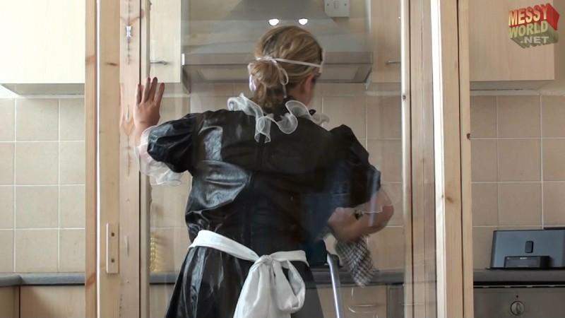Maid Cleaning The Gunge Tank