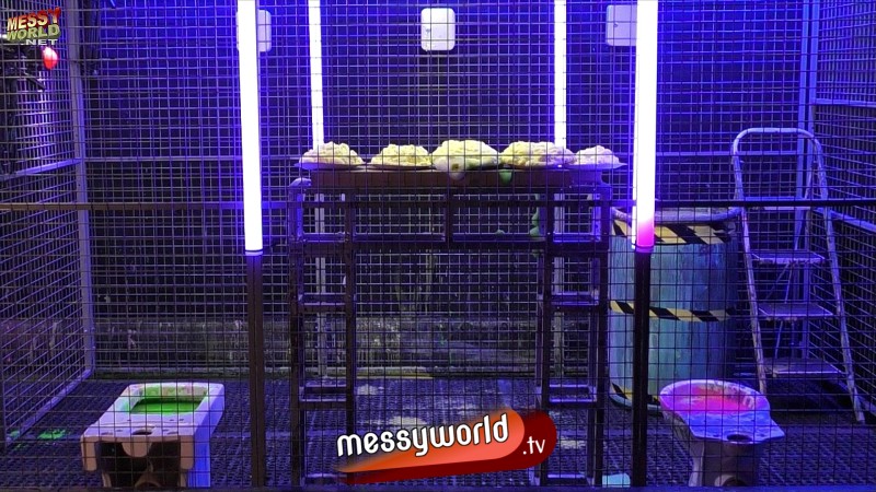 The Escape S2: Melanie vs Danielle